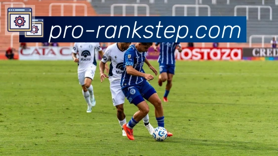 新葡京博彩官网平台生态图